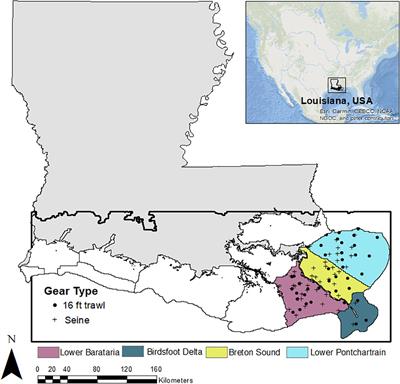 End-to-End Modeling Reveals Species-Specific Effects of Large-Scale Coastal Restoration on Living Resources Facing Climate Change